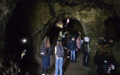 Rund um Papenkaule und Buchenlochhöhle – Exkursionen der 8. Klassen des Sankt-Matthias-Gymnasiums